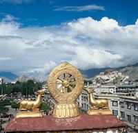 v:shapes="_x0000_s1026"